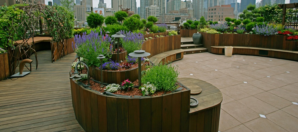 Affordable Rooftop Garden