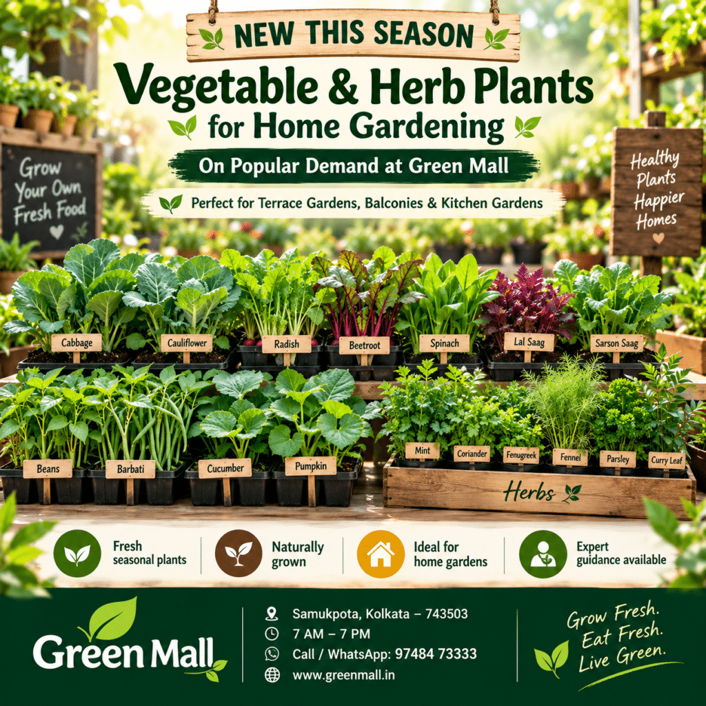 Seasonal vegetable and herb plants for home gardening at Green Mall Kolkata