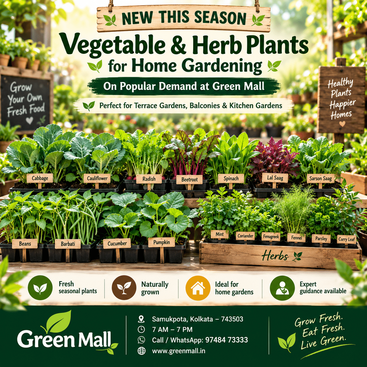 Seasonal vegetable and herb plants for home gardening at Green Mall Kolkata