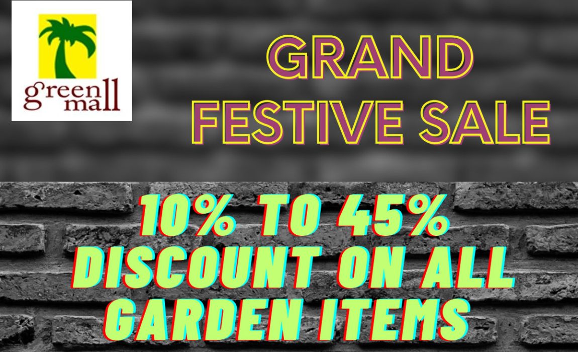 grand festive sale